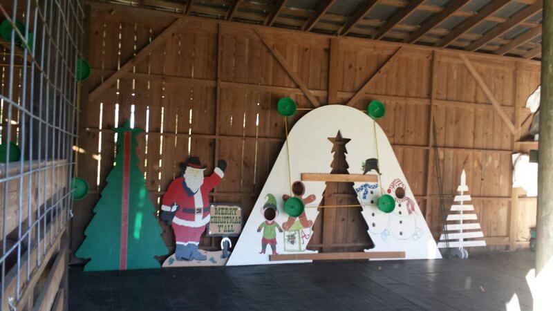 Image from Almond Christmas Tree Farm